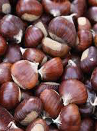Raw Chestnuts Still In The Shell
